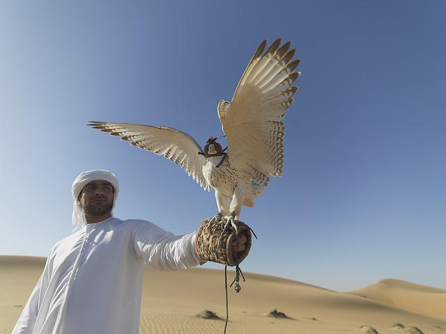 A Emirati man with the national bird of UAE, in Dubai. The Falcon is a symbol of force and courage. 