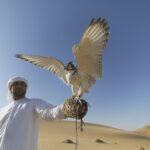 A Emirati man with the national bird of UAE, in Dubai. The Falcon is a symbol of force and courage.